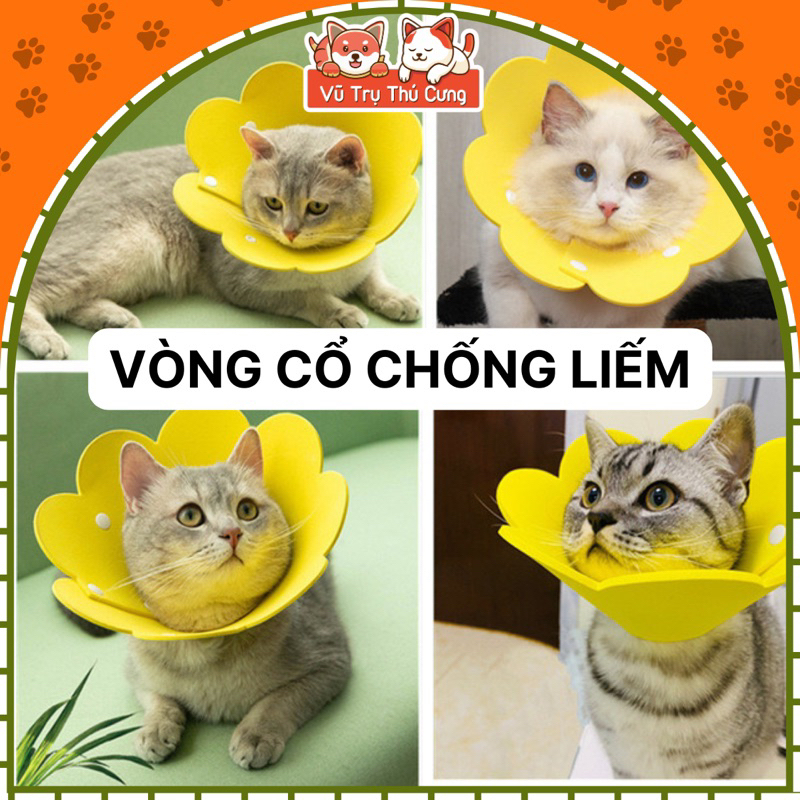 Vòng cổ chống liếm cho chó mèo, hình bông hoa dễ thương