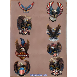 HÌNH vẽ ĐẠI BÀNG/EAGLE- ỦI TRỰC TIẾP lên áo tại nhà bằng bàn là bàn ủi