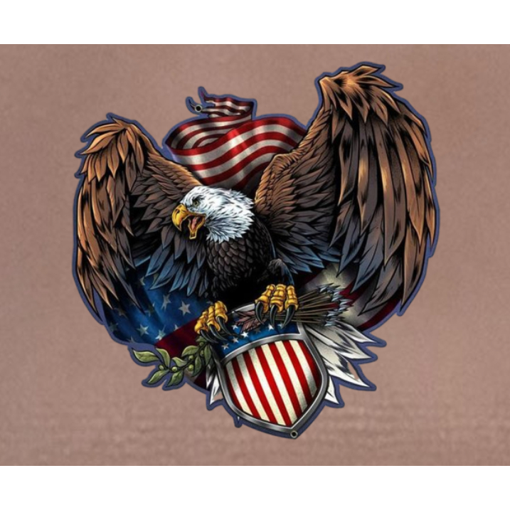 HÌNH vẽ ĐẠI BÀNG/EAGLE- ỦI TRỰC TIẾP lên áo tại nhà bằng bàn là bàn ủi