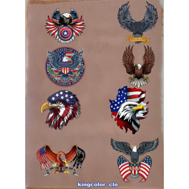 HÌNH ỦI ÉP NHIỆT-ICON ĐẠI BÀNG/EAGLE- ỦI TRỰC TIẾP lên áo TẠI NHÀ BẰNG BÀN LÀ BÀN ỦI[ RẤT ĐẸP-RẤT DÍNH CHẮC]