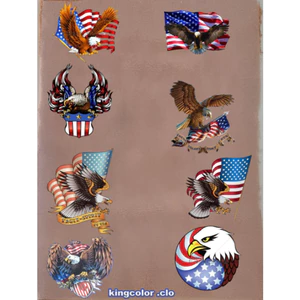 HÌNH ỦI QUẦN ÁO-ICON ĐẠI BÀNG/EAGLE- ỦI TRỰC TIẾP lên áo TẠI NHÀ BẰNG BÀN LÀ BÀN ỦI RẤT ĐẸP-RẤT DÍNH CHẮC-GÍA KHUYẾN MÃI