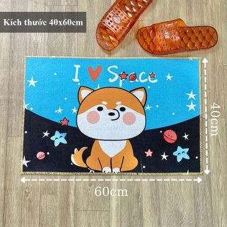 [TẶNG 1 TẤM] Combo 6 tấm thảm lau chân họa tiết ngẫu nhiên - thảm kích thước 40x60cm