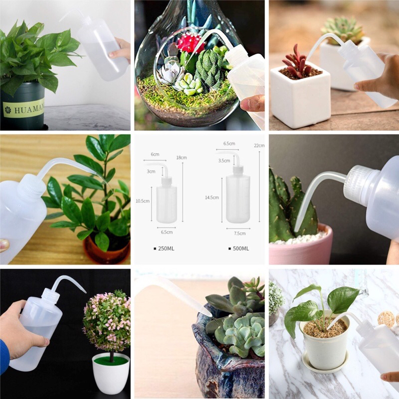 Bình tưới cây trắng 150ml vòi nhọn dành cho terrarium,senda