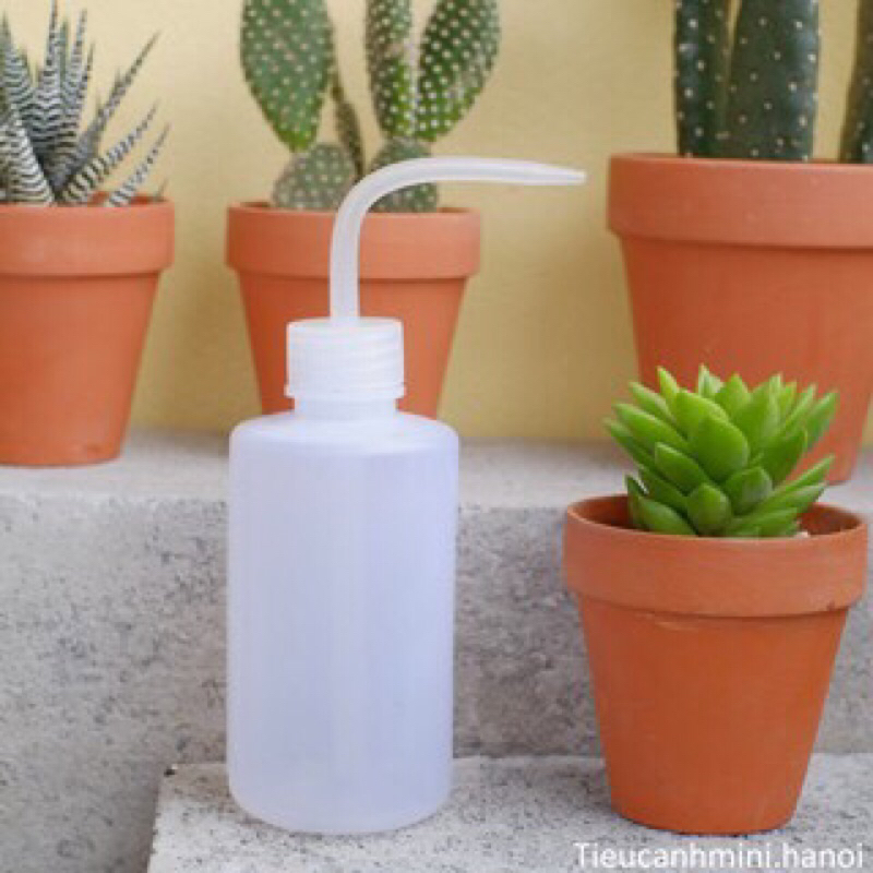 Bình tưới cây trắng 150ml vòi nhọn dành cho terrarium,senda