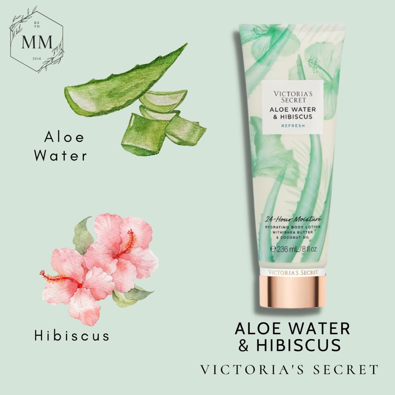 aloe vera stick deo Ushuaa Organic RollOn Deodorant  Aloe Vera  Saveur du Jour