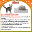 Cát vệ sinh cho Mèo vón cục, khử mùi hiệu quả Akicat