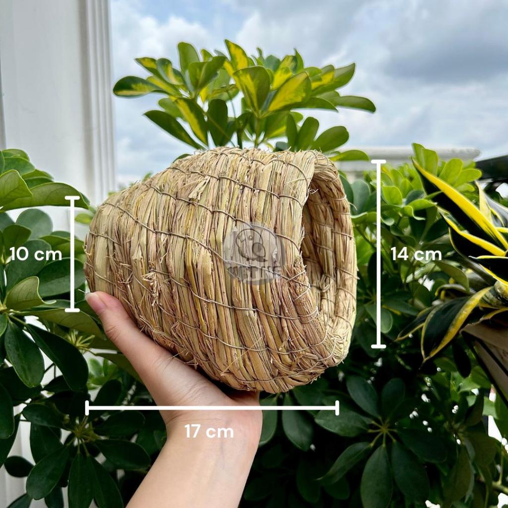 Tổ rơm đan tự nhiên cho vẹt | Shopee Việt Nam