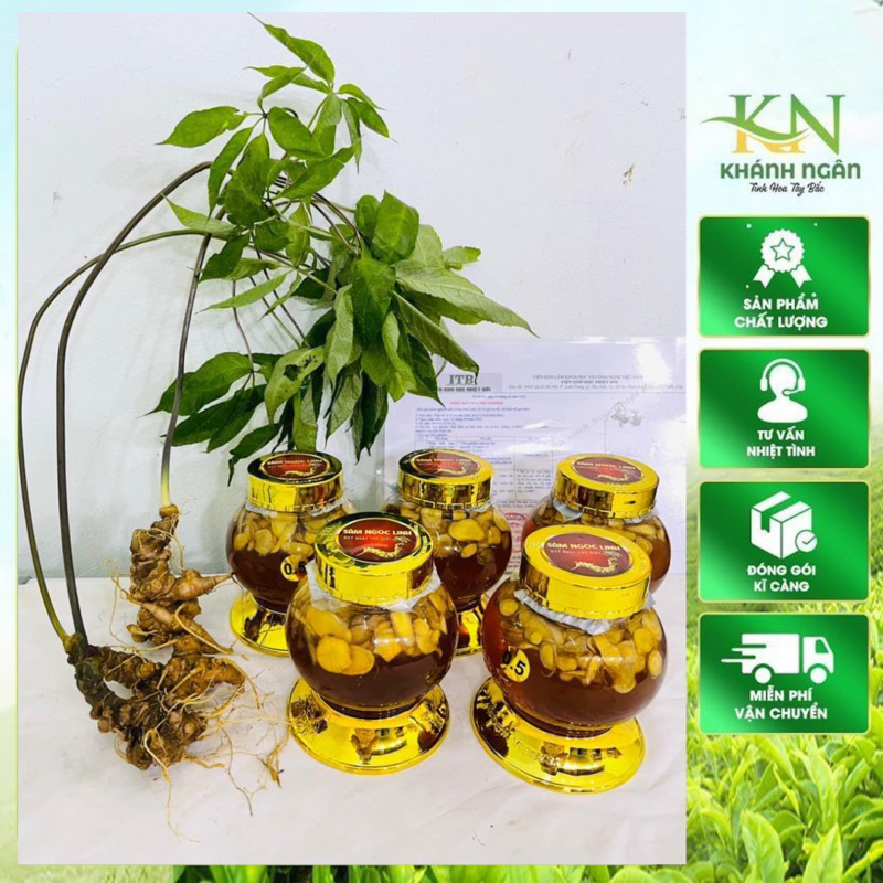 Sâm Ngọc Linh( Sâm Lai Châu) thái lát ngâm mật ong rừng tự nhiên 500gr