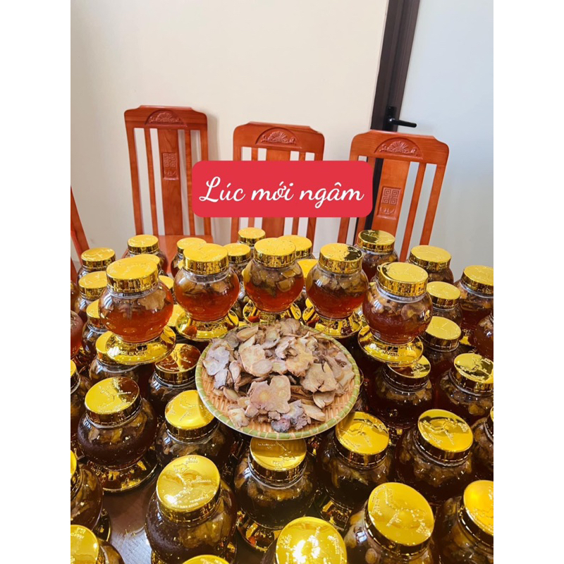 Sâm Ngọc Linh( Sâm Lai Châu) thái lát ngâm mật ong rừng tự nhiên 500gr