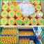 Màng Keo Nilon Che Bụi Phun Sơn Tường Minh Phát 30cm 55cm 110cm 300cm 400cm