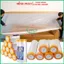 Màng Keo Nilon Che Bụi Phun Sơn Tường Minh Phát 30cm 55cm 110cm 300cm 400cm