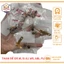 Than đề dream, Chổi Than Đề WS110/AB/Funeo/Dream và Sirius THÙY LINH TOOLS