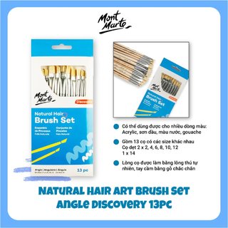 [Hỏa tốc HCM] Bộ cọ mới Natural Hair Art Brush Set Round Discovery 13pc  - nhiều đầu cọ khác nhau