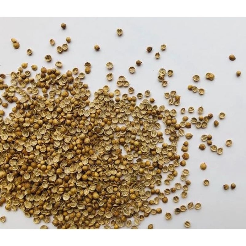 20 gr  Hạt Giống Rau Mùi Tía ( Ngò Rí) Cực thơm, rất dễ trồng