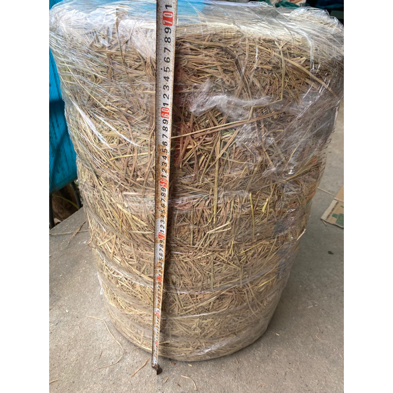 Rơm cuộn nhỏ trang trí(có sẵn nha khách) | Shopee Việt Nam