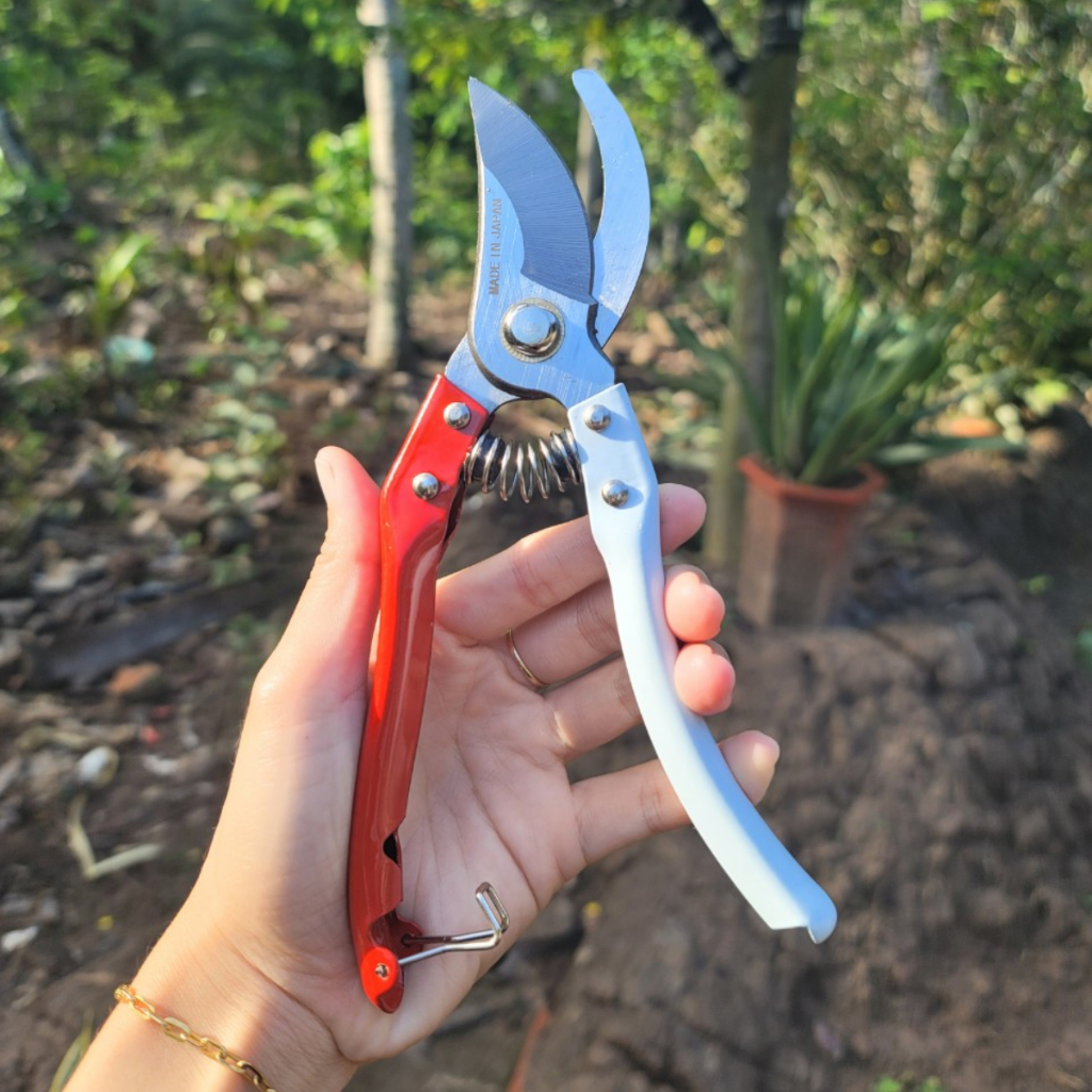 Bộ Dụng Cụ cắt tỉa Cây Cảnh bonsai (Kéo Cắt Cành SK5 Kéo Tỉa Thép Trắng Cưa Lách New và Cưa Gập Cầm Tay) GD Smart