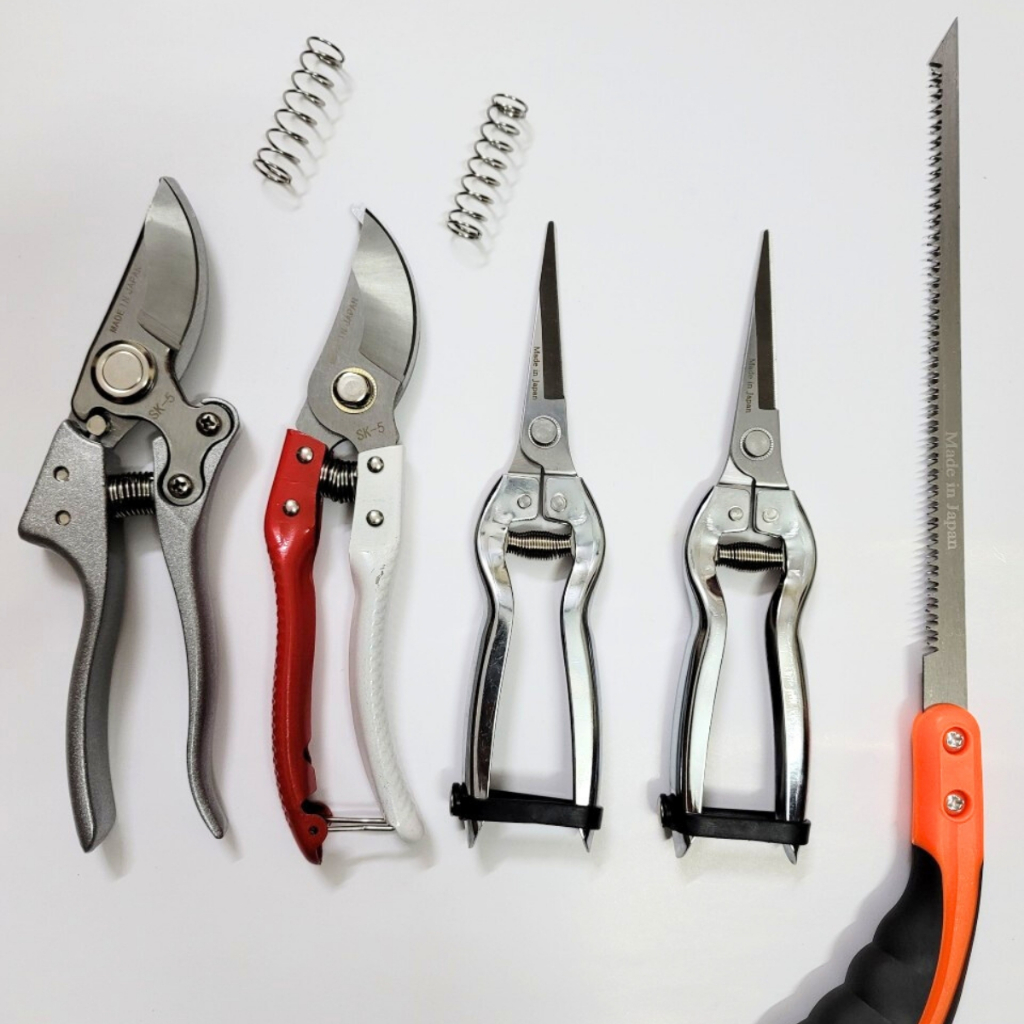 Combo Dụng Cụ Làm Vườn Cây Cảnh NB (Kéo Cắt Cành SK5, Kéo Cắt Trắng Đỏ, Cưa Lách New và Tỉa Thép Trắng) GD Smart