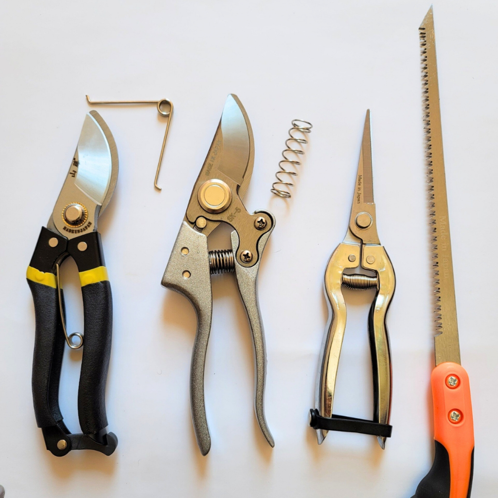 Combo Dụng Cụ Làm Vườn Cây Cảnh Bonsai NB (Kéo Cắt Cành SK5, Kéo Tay Nỉ,  Cưa Lách New và Tỉa Thép Trắng) - GD Smart