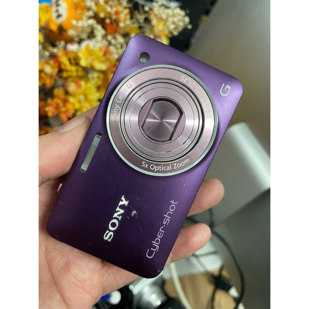 SONY Cyber-Shot DSC-WX5 弱々し SONY Cyber-Shot DSC-WX5 弱々し