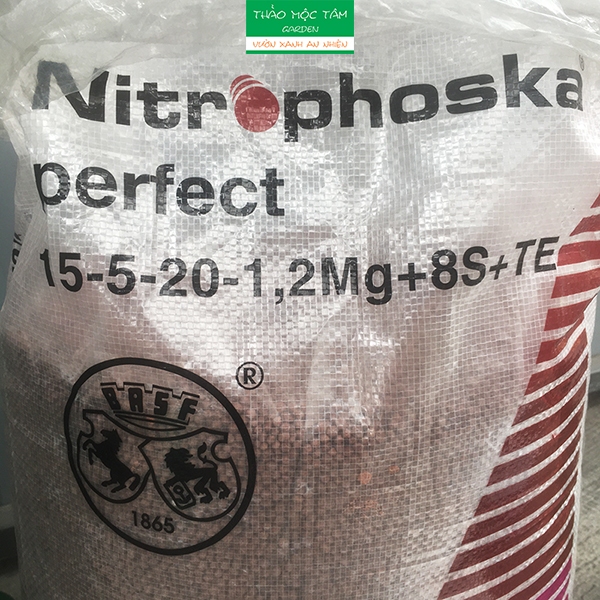 Nitrophoska Perfect 15-5-20+1,2Mg+8S+TE (NPK tím Đức) – Bón cho dâu tây ...