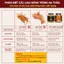 Lọ 10 gam loại 1 VIP- Đông Trùng Hạ Thảo Sợi Sấy Khô Thăng Hoa CADOTA Sợi to, thơm, vàng đẹp