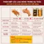 Hũ 50G Hàng Sợi Rối, Đông Trùng Hạ Thảo Khô Sấy Thăng Hoa CADOTA