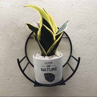 Giỏ Hoa Bán Nguyệt - Sơn chống gỉ 5 lớp, thiết kế sang trọng, giao hàng nhanh chóng, đổi trả dễ dàng.