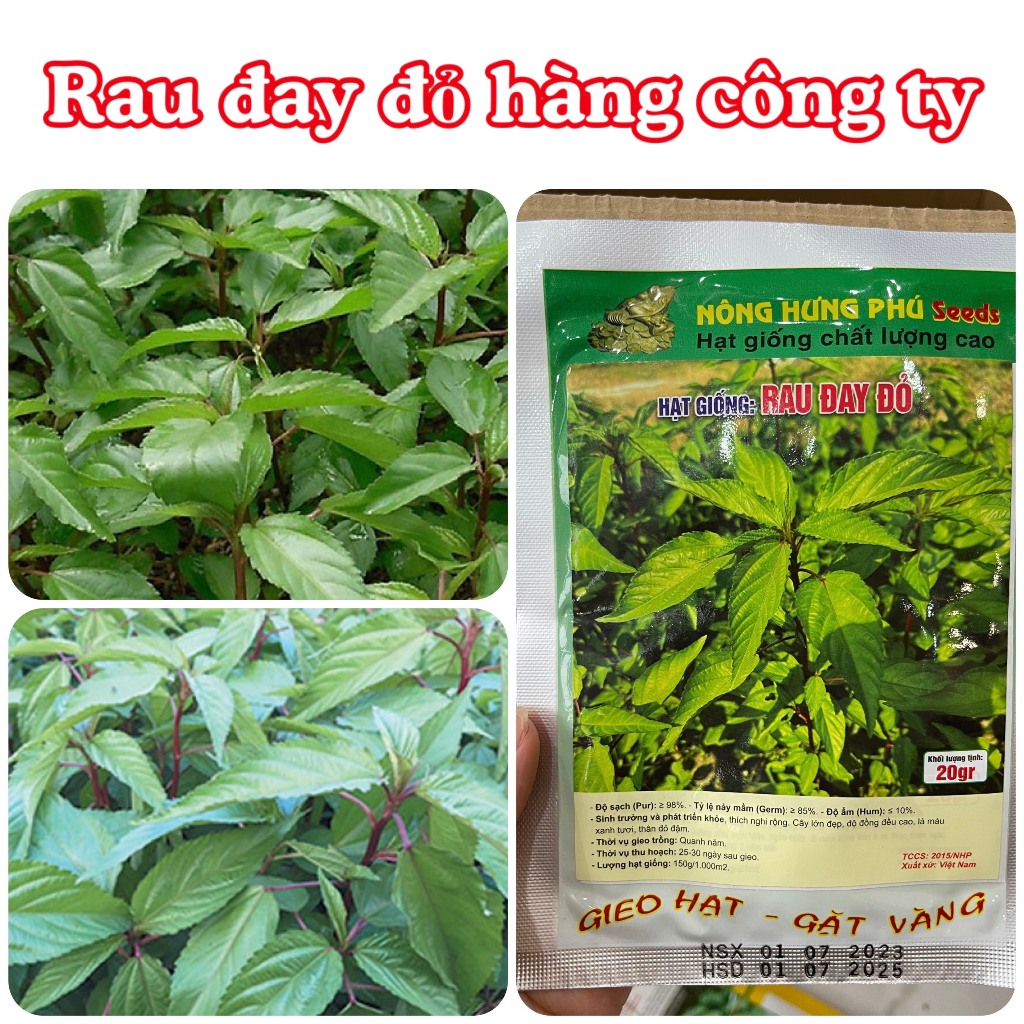 Hạt giống rau Rau đay đỏ gói 20gam hàng công ty | Shopee Việt Nam