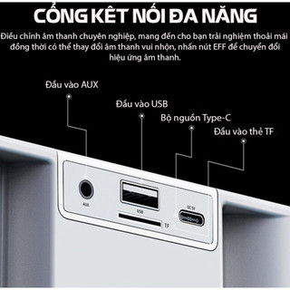Loa Karaoke Kèm 2 Mic Không Dây Bluetooth YS-219, Âm Thanh Siêu Hay, Tiện Lợi, Bảo Hành 24 Tháng