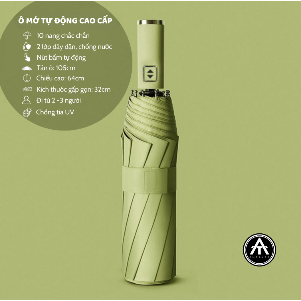 BƠ 10nan-2 lớp