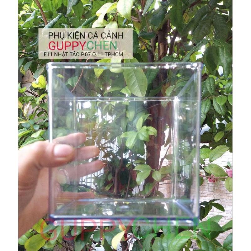 Hồ Nhựa Mini Nuôi Cá 15x12x15 - Betta , Guppy , Cá Thủy Sinh - Cao Cấp ...