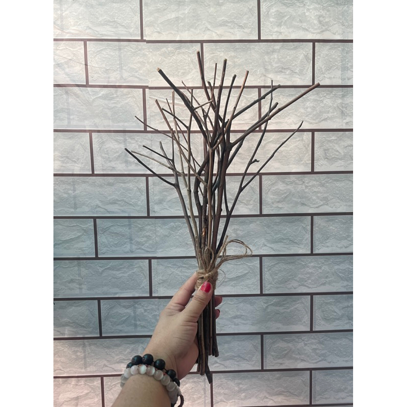 bó 10 nhánh Củi khô(cây tự nhiên)dài 30-35cm(tặng 3 m dây dừa) | Shopee ...