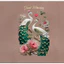 HÌNH ỦI ÉP NHIỆT-HÌNH CHIM CÔNG- STICKER ỦI TRỰC TIẾP lên áo TẠI NHÀ BẰNG BÀN ỦI-RẤT DÍNH CHẮC-GÍA KHUYẾN MÃI
