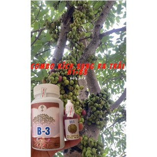 chế phẩm b3 và h1