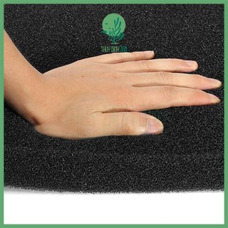 Mút Đen Lọc Nước Cho Hồ Cá Cảnh, Thủy Sinh - Thoát Nước Nhanh - Vệ Sinh Dễ Dàng