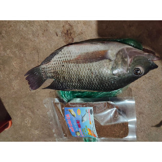 Mồi Tốc Độ Tổng Hợp