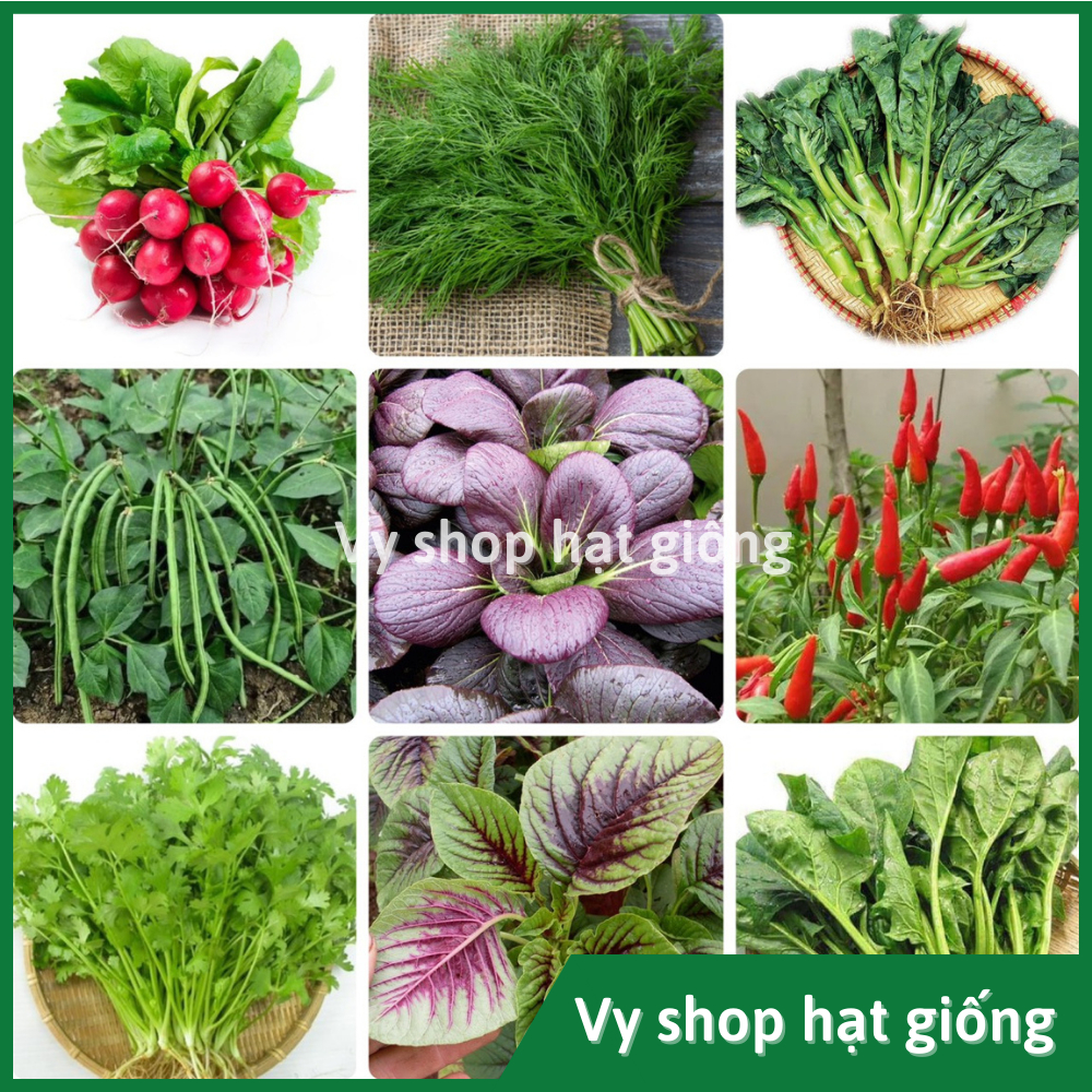 Combo 10 gói hạt giống rau củ quả gói nhỏ trồng thử trải nghiệm ...