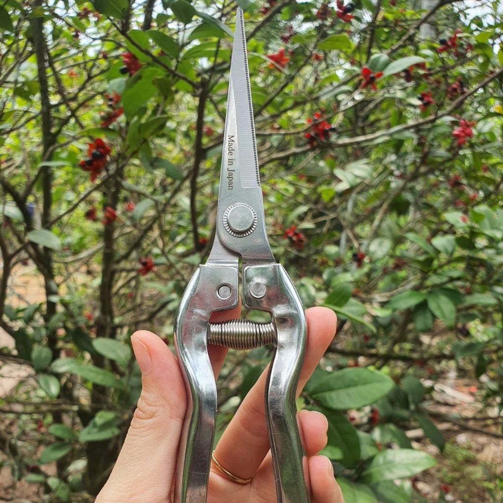 Combo Dụng Cụ Làm Vườn Cây Cảnh Bonsai ( 2 Kéo Cắt Cành SK5 Kéo Tỉa Thép Trắng Và Cưa Gập Cầm Tay) - Dụng Cụ NN GD Smart