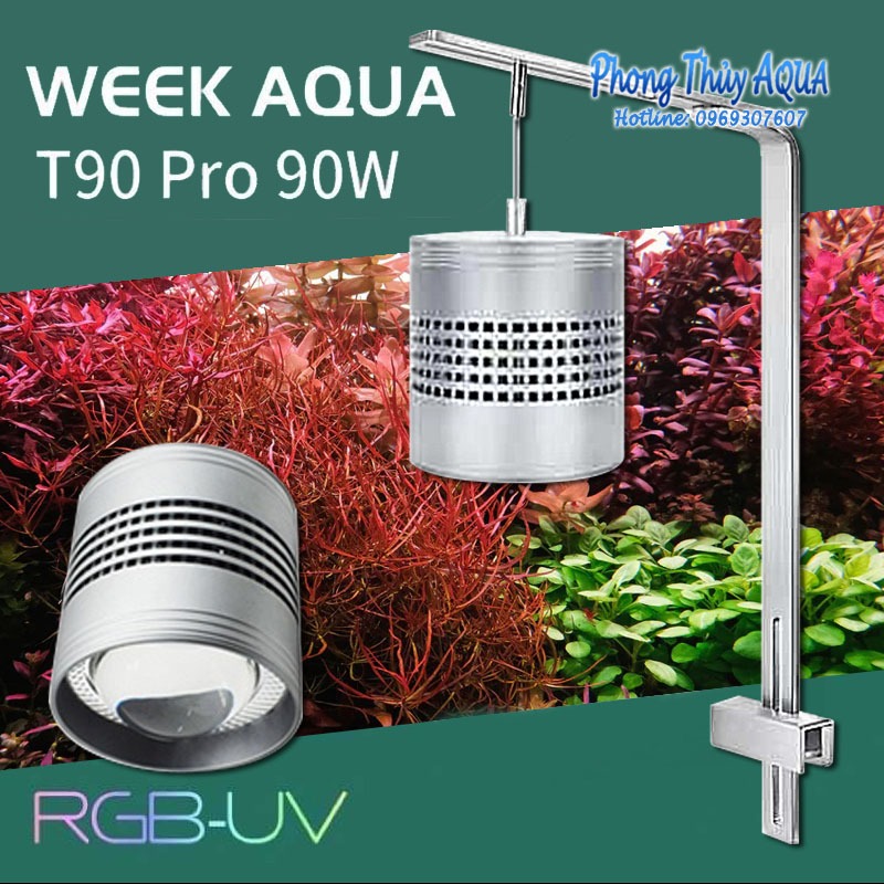 最安価格 Week T90 Pro 魚用品/水草 - theceliacscene.com