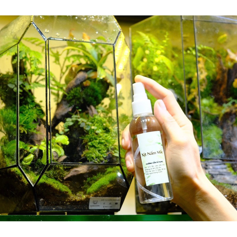 Xịt chống mốc cho bể terrarium, cung cấp thêm vi sinh cho rêu, bể ...