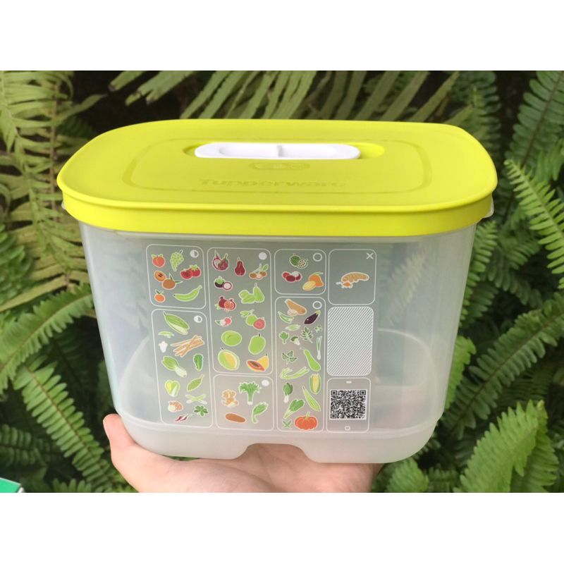 Set 4 hộp trữ mát Ventsmart Tupperware chính hãng | Shopee Việt Nam