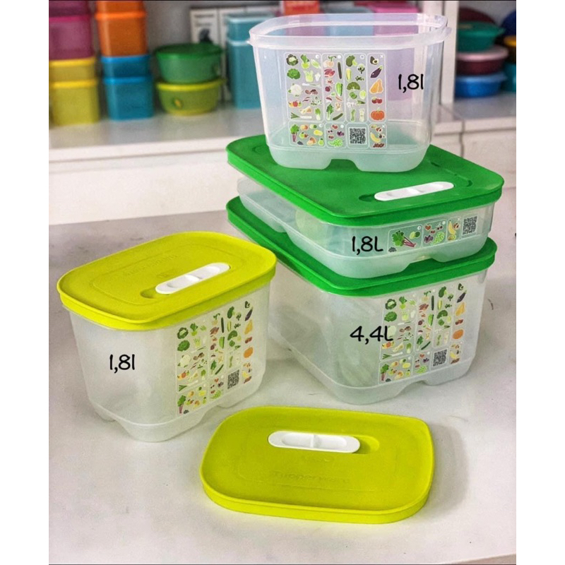 Set 4 hộp trữ mát Ventsmart Tupperware chính hãng | Shopee Việt Nam