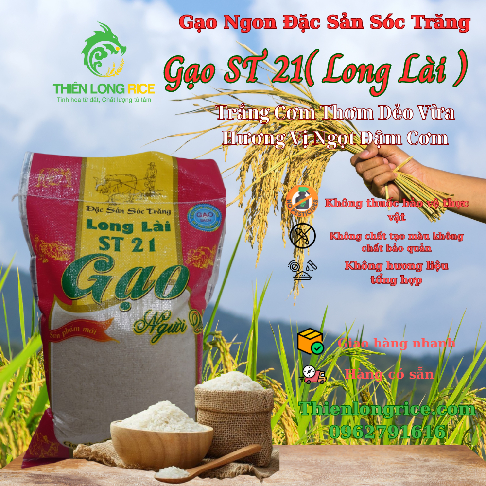 Gạo ST 21 (Long Lài ) Thiên Long Rice Đặc Sản Sóc Trăng Túi 5 Kg Hàng ...
