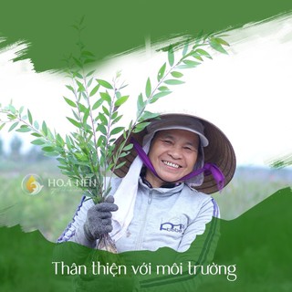 Combo tinh dầu Chanh nguyên chất - Hoa Nén - Thanh lọc không khí Chai treo + 10ml