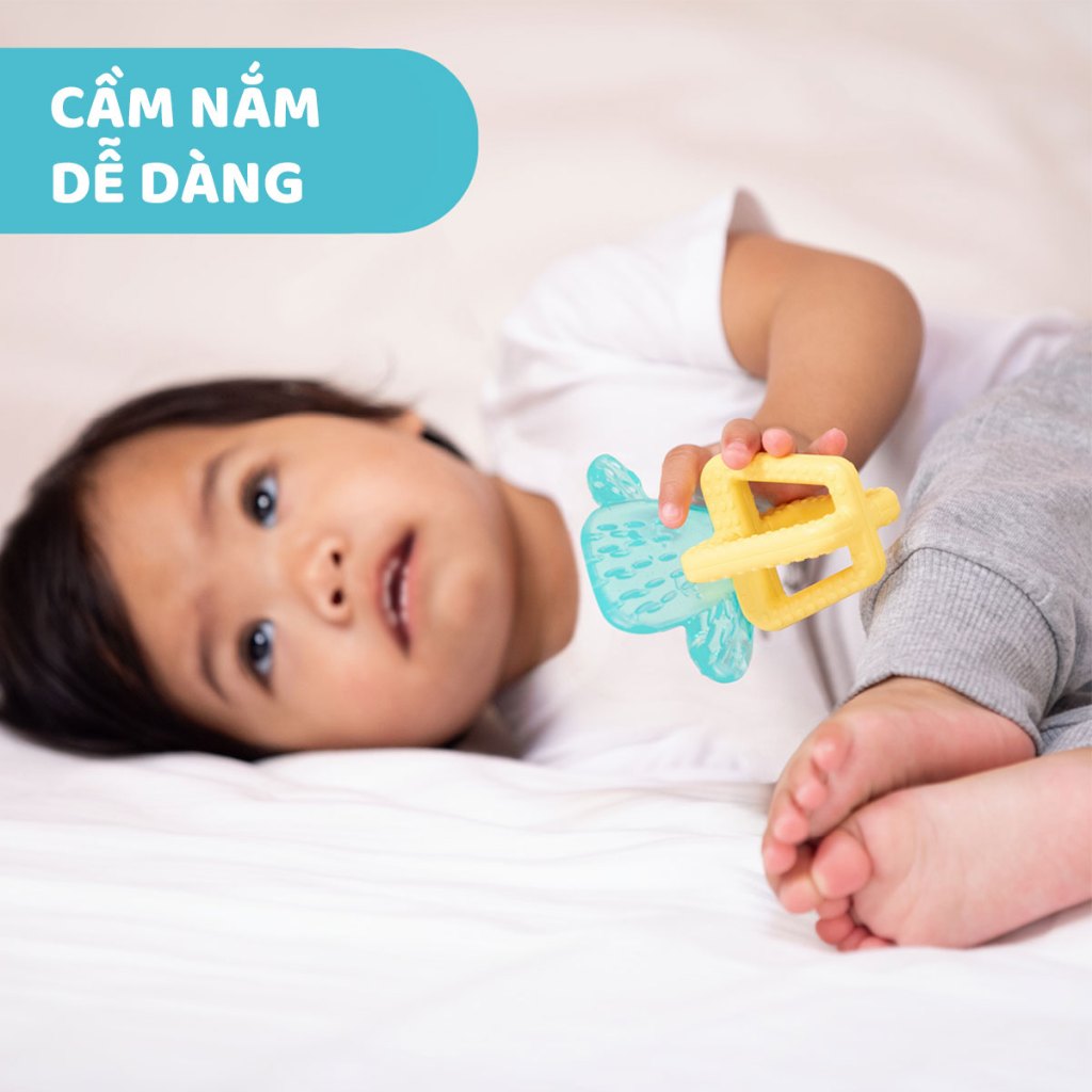 Gặm nướu xương rồng Chicco