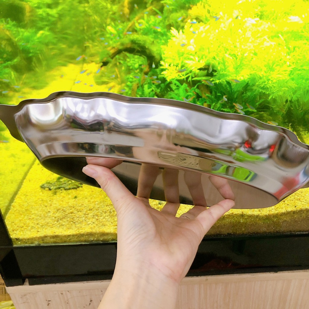 Dĩa bò né hột xoài inox, đĩa hấp cá inox, đĩa inox cao cấp loại1 lòng sâu