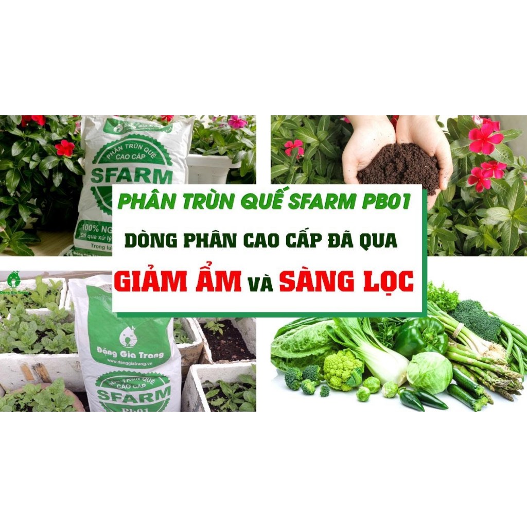 Phân trùn quế cao cấp Sfarm Pb01 - Bao 2kg - Đã qua xử lý