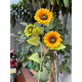 Cành hoa hướng dương 3 bông thân phủ phấn cao 90cm nhập khẩu-Hoa giả cao cấp