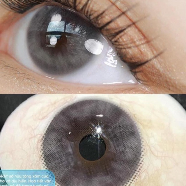 Lens y tế cấp ẩm xám trầm RUSS GRAY 12 tháng Hàn Quốc Gamilens( Giảm giá 35k khách hàng mới )