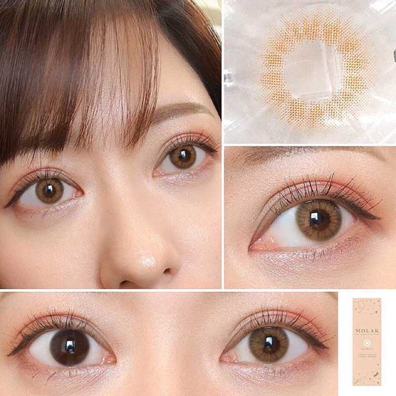 Lens 1 ngày Coral Brown dòng cấp ẩm 24h sử dụng Nhật Bản GAMILENS
